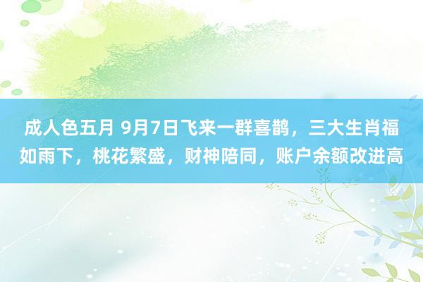 成人色五月 9月7日飞来一群喜鹊，三大生肖福如雨下，桃花繁盛，财神陪同，账户余额改进高