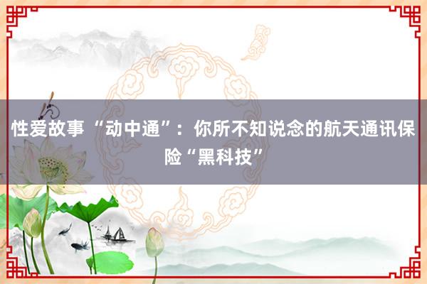 性爱故事 “动中通”：你所不知说念的航天通讯保险“黑科技”