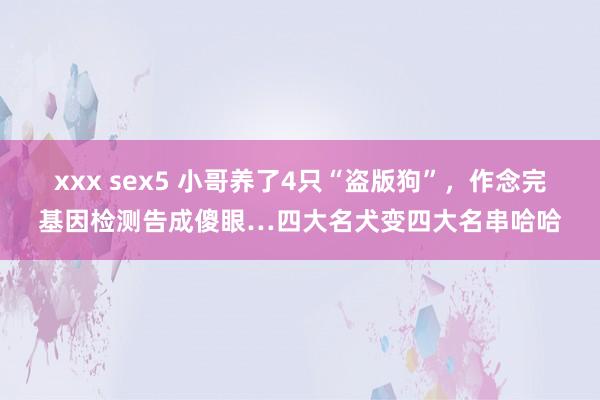 xxx sex5 小哥养了4只“盗版狗”，作念完基因检测告成傻眼…四大名犬变四大名串哈哈