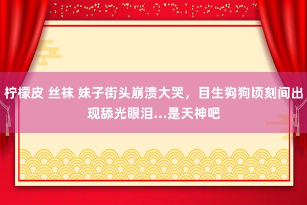 柠檬皮 丝袜 妹子街头崩溃大哭，目生狗狗顷刻间出现舔光眼泪...是天神吧