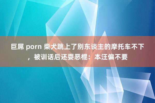 巨屌 porn 柴犬跳上了别东谈主的摩托车不下，被训话后还耍恶棍：本汪偏不要