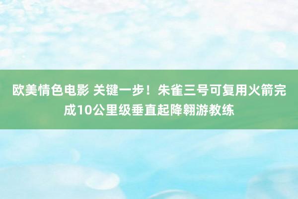 欧美情色电影 关键一步！朱雀三号可复用火箭完成10公里级垂直起降翱游教练