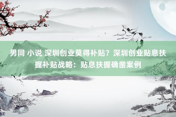 男同 小说 深圳创业莫得补贴？深圳创业贴息扶握补贴战略：贴息扶握确凿案例