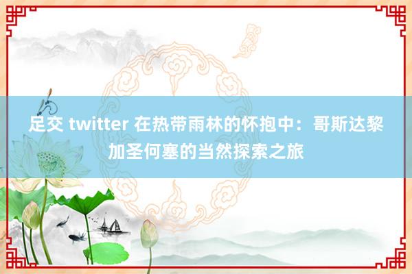 足交 twitter 在热带雨林的怀抱中：哥斯达黎加圣何塞的当然探索之旅