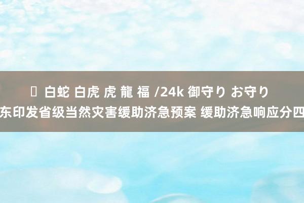 ✨白蛇 白虎 虎 龍 福 /24k 御守り お守り 山东印发省级当然灾害缓助济急预案 缓助济急响应分四级