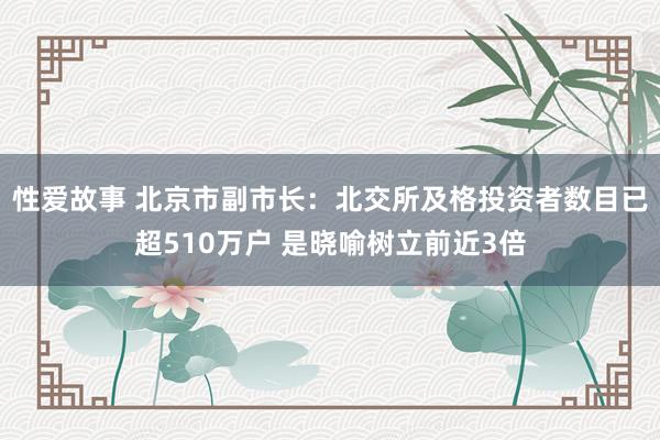 性爱故事 北京市副市长：北交所及格投资者数目已超510万户 是晓喻树立前近3倍