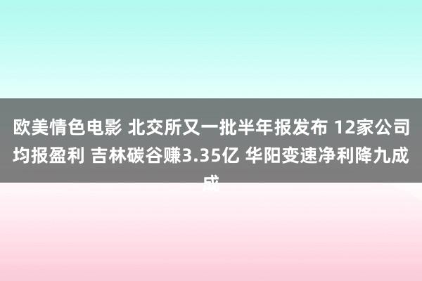 欧美情色电影 北交所又一批半年报发布 12家公司均报盈利 吉林碳谷赚3.35亿 华阳变速净利降九成