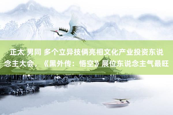 正太 男同 多个立异技俩亮相文化产业投资东说念主大会，《黑外传：悟空》展位东说念主气最旺