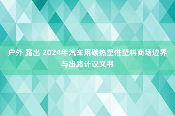 户外 露出 2024年汽车用碳热塑性塑料商场边界与出路计议文书