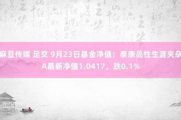 麻豆传媒 足交 9月23日基金净值：泰康品性生涯夹杂A最新净值1.0417，跌0.1%