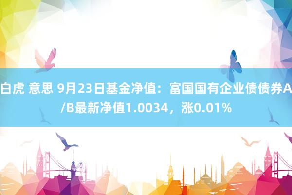 白虎 意思 9月23日基金净值：富国国有企业债债券A/B最新净值1.0034，涨0.01%