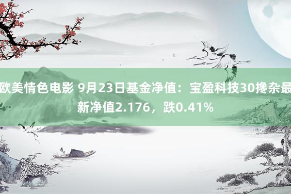 欧美情色电影 9月23日基金净值：宝盈科技30搀杂最新净值2.176，跌0.41%