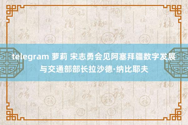 telegram 萝莉 宋志勇会见阿塞拜疆数字发展与交通部部长拉沙德·纳比耶夫