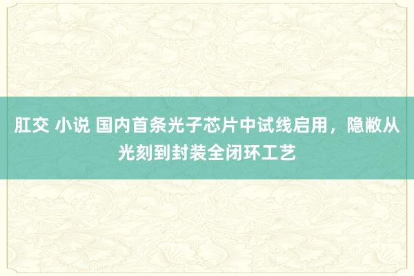 肛交 小说 国内首条光子芯片中试线启用，隐敝从光刻到封装全闭环工艺