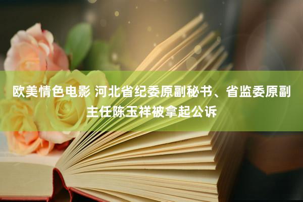 欧美情色电影 河北省纪委原副秘书、省监委原副主任陈玉祥被拿起公诉