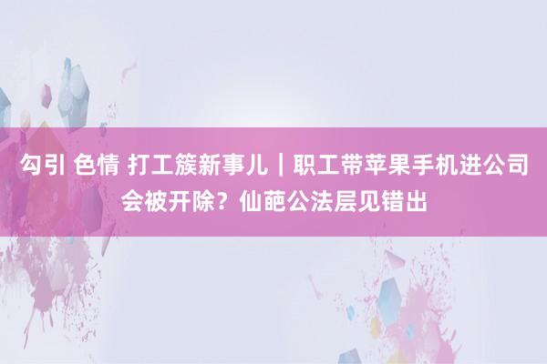 勾引 色情 打工簇新事儿｜职工带苹果手机进公司会被开除？仙葩公法层见错出