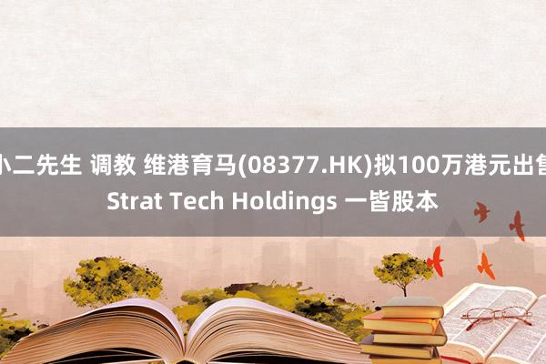 小二先生 调教 维港育马(08377.HK)拟100万港元出售Strat Tech Holdings 一皆股本