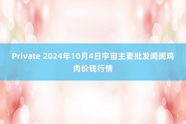 Private 2024年10月4日宇宙主要批发阛阓鸡肉价钱行情