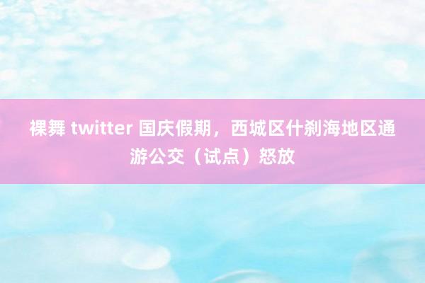 裸舞 twitter 国庆假期，西城区什刹海地区通游公交（试点）怒放