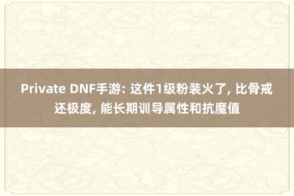 Private DNF手游: 这件1级粉装火了， 比骨戒还极度， 能长期训导属性和抗魔值