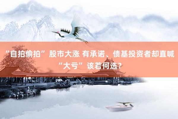 “自拍偷拍” 股市大涨 有承诺、债基投资者却直喊“大亏” 该若何选？