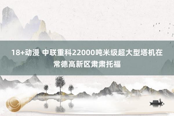 18+动漫 中联重科22000吨米级超大型塔机在常德高新区肃肃托福