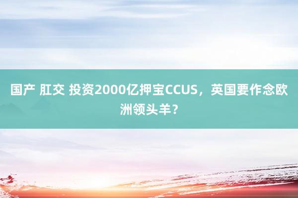 国产 肛交 投资2000亿押宝CCUS，英国要作念欧洲领头羊？