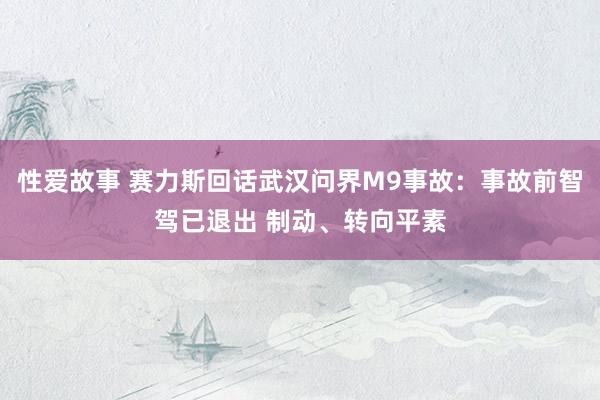 性爱故事 赛力斯回话武汉问界M9事故：事故前智驾已退出 制动、转向平素