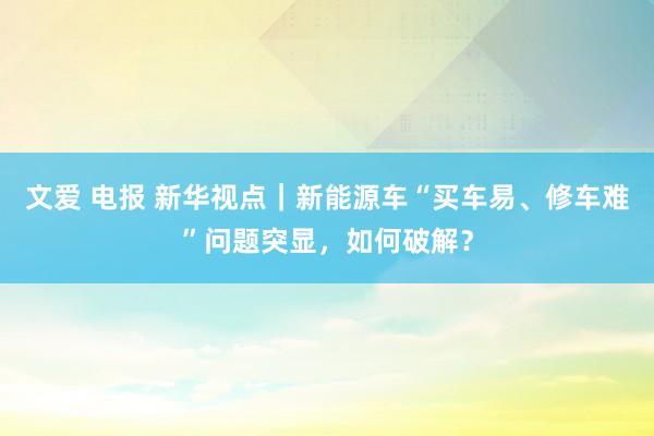 文爱 电报 新华视点｜新能源车“买车易、修车难”问题突显，如何破解？