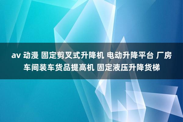 av 动漫 固定剪叉式升降机 电动升降平台 厂房车间装车货品提高机 固定液压升降货梯