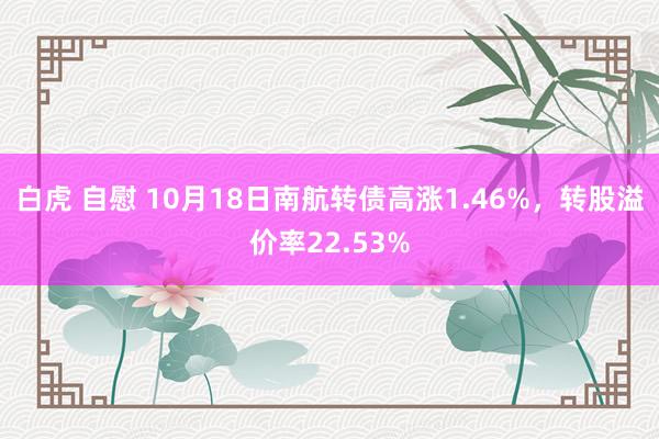 白虎 自慰 10月18日南航转债高涨1.46%，转股溢价率22.53%