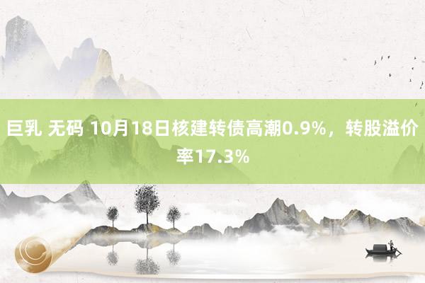 巨乳 无码 10月18日核建转债高潮0.9%，转股溢价率17.3%