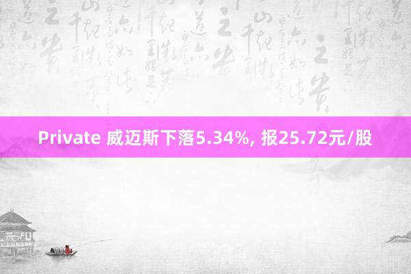 Private 威迈斯下落5.34%， 报25.72元/股