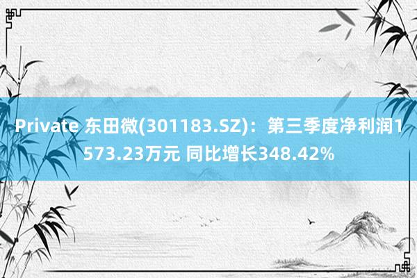 Private 东田微(301183.SZ)：第三季度净利润1573.23万元 同比增长348.42%