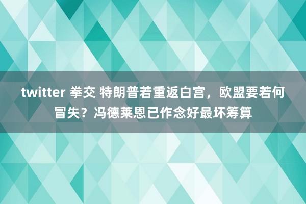 twitter 拳交 特朗普若重返白宫，欧盟要若何冒失？冯德莱恩已作念好最坏筹算