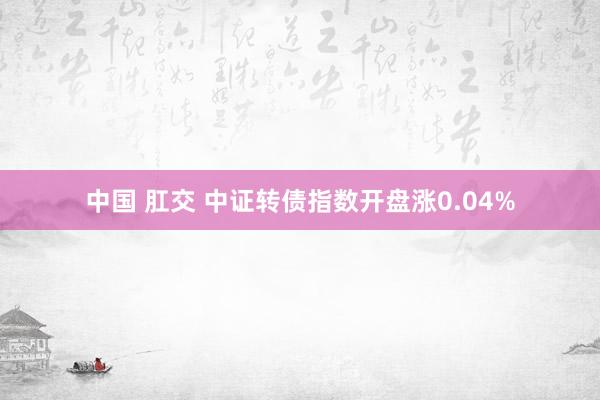 中国 肛交 中证转债指数开盘涨0.04%