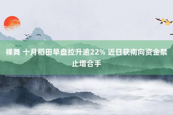 裸舞 十月稻田早盘拉升逾22% 近日获南向资金禁止增合手