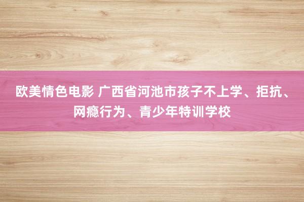 欧美情色电影 广西省河池市孩子不上学、拒抗、网瘾行为、青少年特训学校