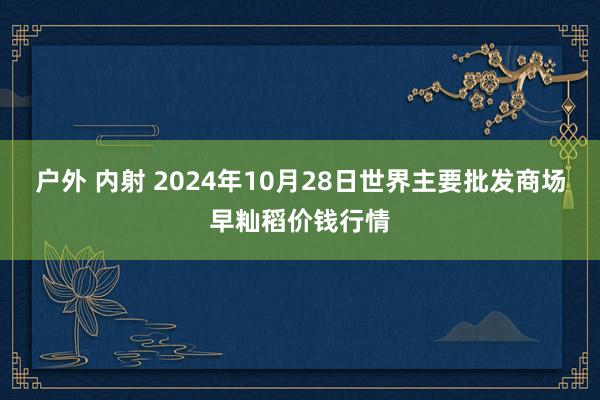 户外 内射 2024年10月28日世界主要批发商场早籼稻价钱行情