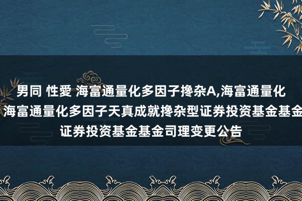 男同 性愛 海富通量化多因子搀杂A，海富通量化多因子搀杂C: 海富通量化多因子天真成就搀杂型证券投资基金基金司理变更公告