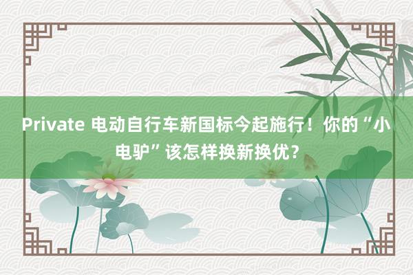 Private 电动自行车新国标今起施行！你的“小电驴”该怎样换新换优？