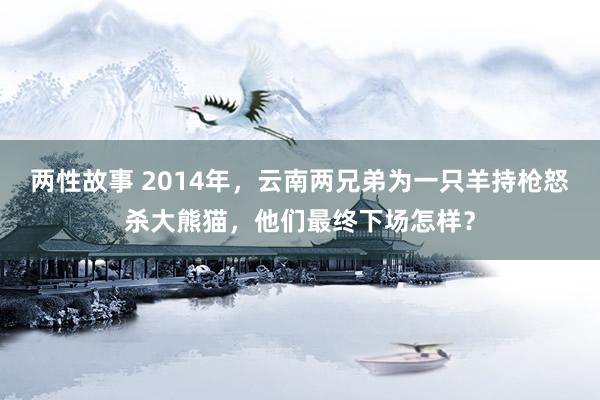 两性故事 2014年，云南两兄弟为一只羊持枪怒杀大熊猫，他们最终下场怎样？