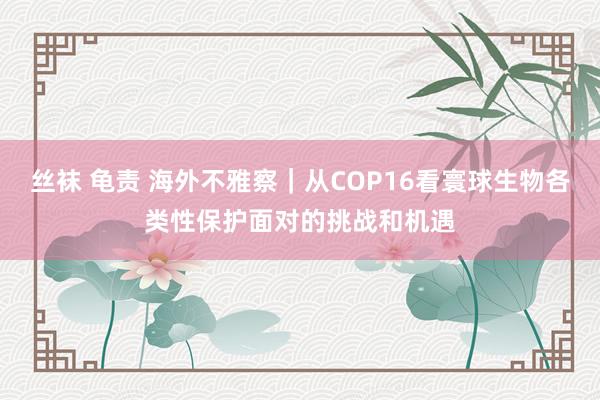 丝袜 龟责 海外不雅察｜从COP16看寰球生物各类性保护面对的挑战和机遇