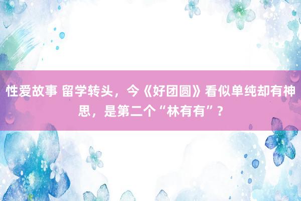 性爱故事 留学转头，今《好团圆》看似单纯却有神思，是第二个“林有有”？