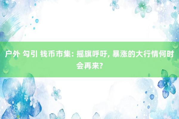 户外 勾引 钱币市集: 摇旗呼吁， 暴涨的大行情何时会再来?