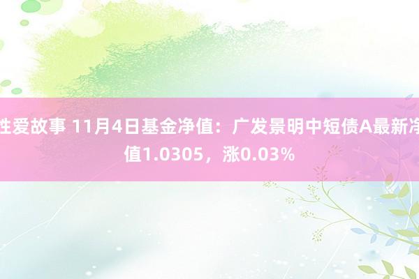 性爱故事 11月4日基金净值：广发景明中短债A最新净值1.0305，涨0.03%