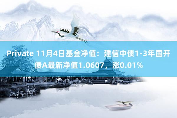 Private 11月4日基金净值：建信中债1-3年国开债A最新净值1.0607，涨0.01%