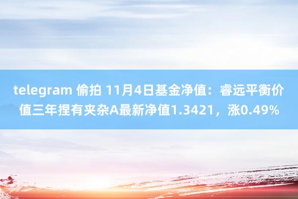 telegram 偷拍 11月4日基金净值：睿远平衡价值三年捏有夹杂A最新净值1.3421，涨0.49%