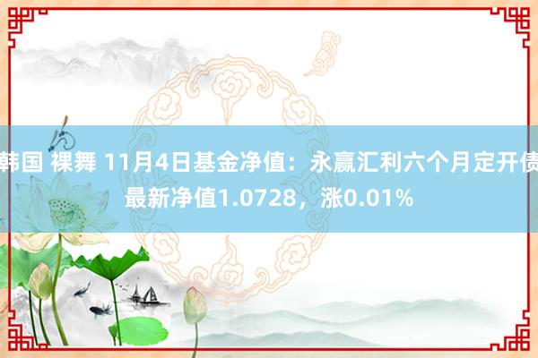 韩国 裸舞 11月4日基金净值：永赢汇利六个月定开债最新净值1.0728，涨0.01%