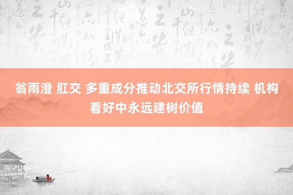 翁雨澄 肛交 多重成分推动北交所行情持续 机构看好中永远建树价值